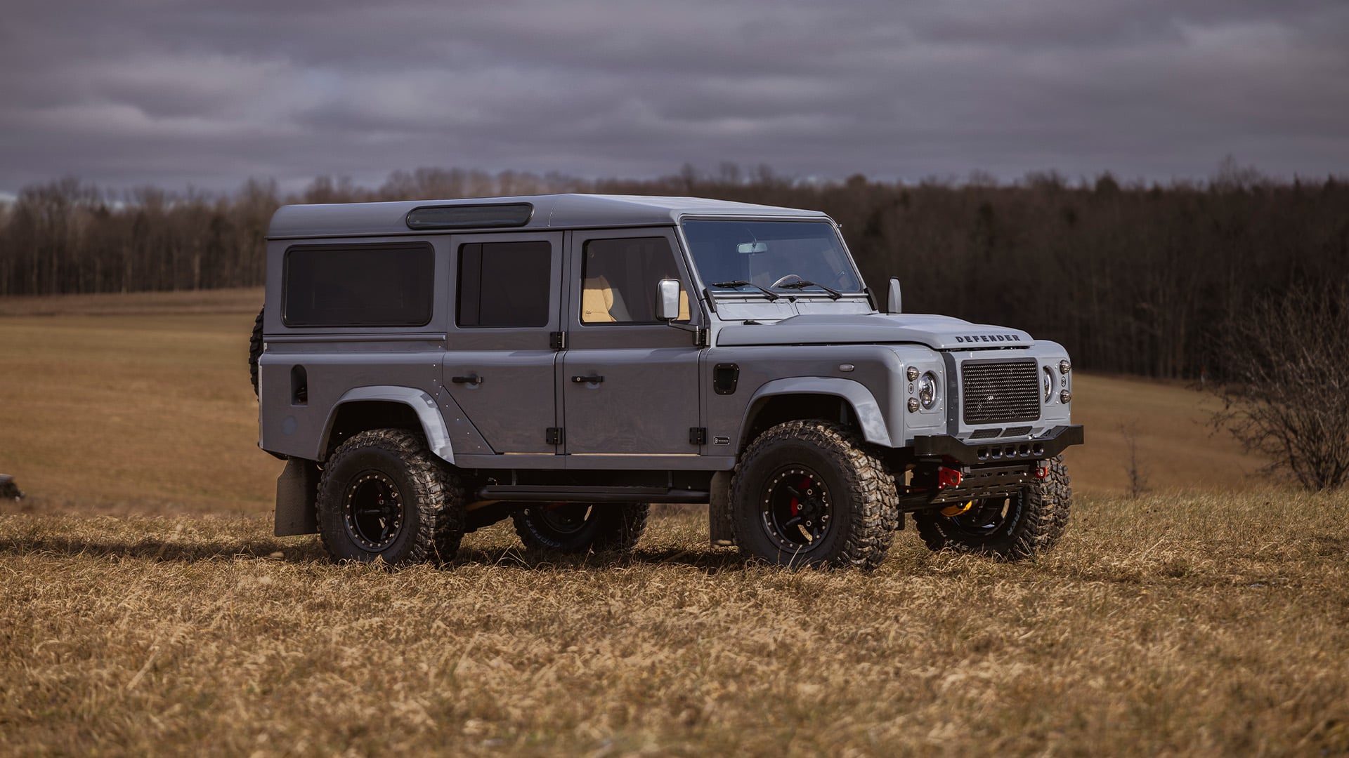 Grå Helderburg Byzek snett från sidan på en åker.