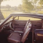 Tidigare år var gräsmattorna en given samlingsplats under Hallsta cruising. Nu sätter kommunens nya p-regler stopp för traditionen. Foto: Getty Images via Unsplash+