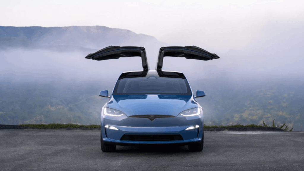 Tesla är en av vinnarna då det är en elbil och också har en så kallad Sentry Mode. Foto: Tesla